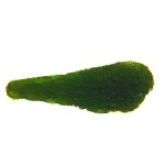 Drop - moldavite shape