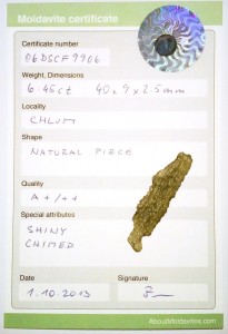 06dscf9906 - Certificate