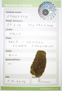 07DSCF0938 - Certificate