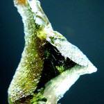 Moldavite - Nova Hospoda