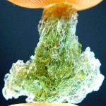 Moldavite - Nova Hospoda