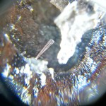 Lechatelierite coming out of the surface of a moldavite