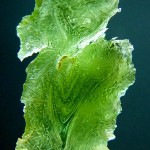 Moldavite with noticeable fluidal texture on surface