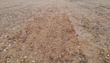 A bare field after rain, sediments are well visible