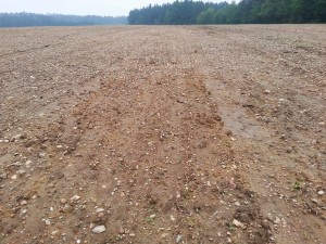 A bare field after rain, sediments are well visible