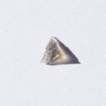 Very small moldavite - natural fragment