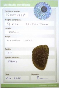 07DSCF8628 - Certificate