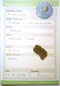 11DSCF8771 - Certificate