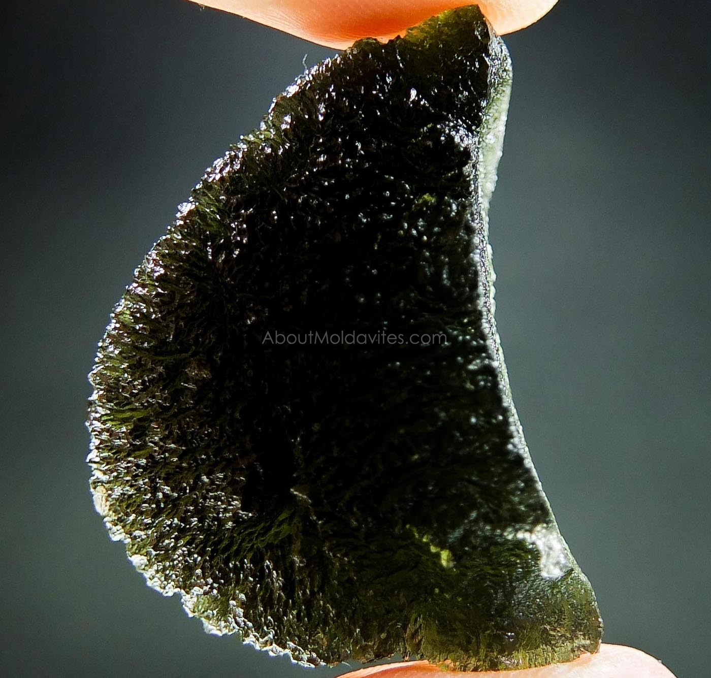 Naturally fragmented moldavite
